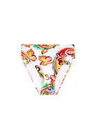 Paisley