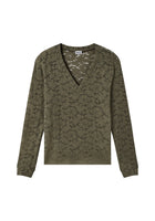 Lichen